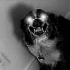 MISSTINHEAD