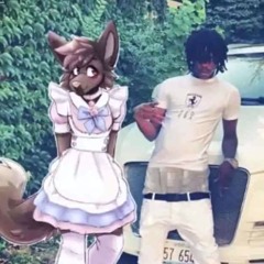 ruze