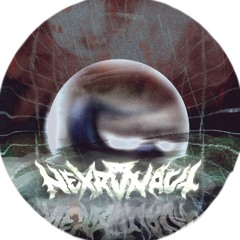 Nexronaut