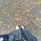winter_beeeeeeeen
