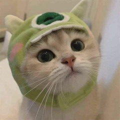 Duy Hưng