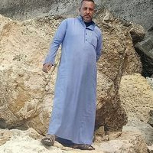 احمد بلبع’s avatar