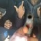 murktaz 2