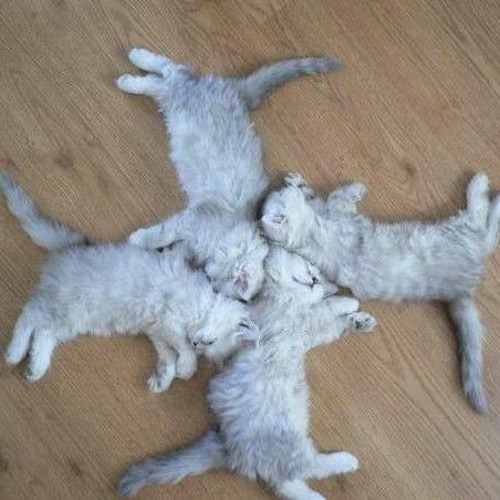 Оргазм Не Наступил - 09-На моём пути