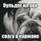 дерьмоед
