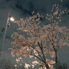 Marwane Mustapha Hadri