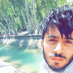 Chodry Hashir Saleem