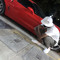 Kovu Tha King