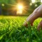 Touch Grass