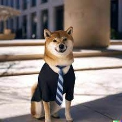 Buisness_Doge