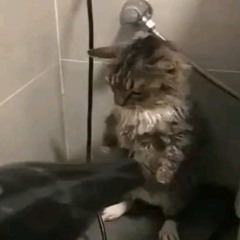 Отвратительный