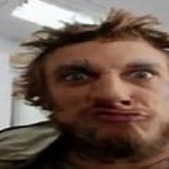 pve3