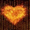 Dark Love