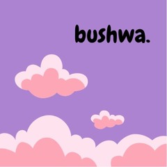bushwa.