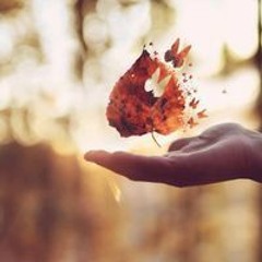 جيت أسلم يا رفيقي