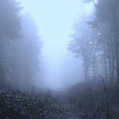 findings from the sky