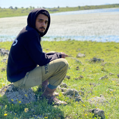 Osher Ashtamker