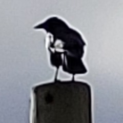 Drea OnceWas Anderson