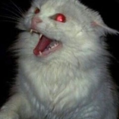 Cyber Morbid Rat