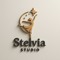Stelvia_dance_studio