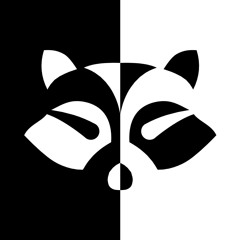 Raccoon