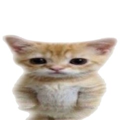 @xyqz
