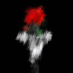 علاء ثروت الخرباوي