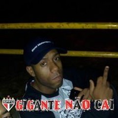 nelmar