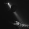 Biorc / Fissura Records