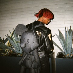 DC The Don Unreleased