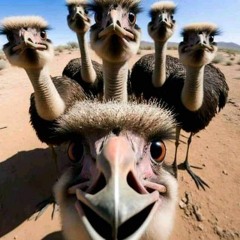 SUFKOOO
