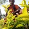 Satyam Jaiswal