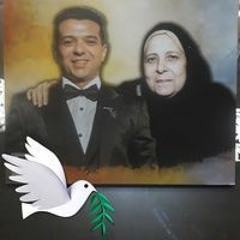 محمد علاء قناوى
