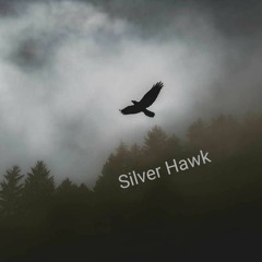 Silver Hawk