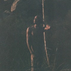 Marshall Norman