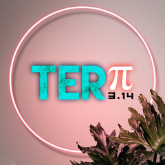 TERπ/3.14