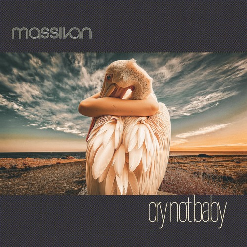 MASSIVAN || Pmusica || Modest Electronica || — artist photo