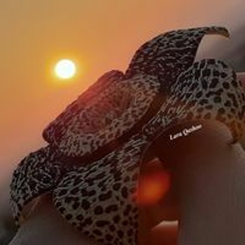 مصطفى ججلي.اشكم. بينم   عشقي مترجم (192 kbps).mp3