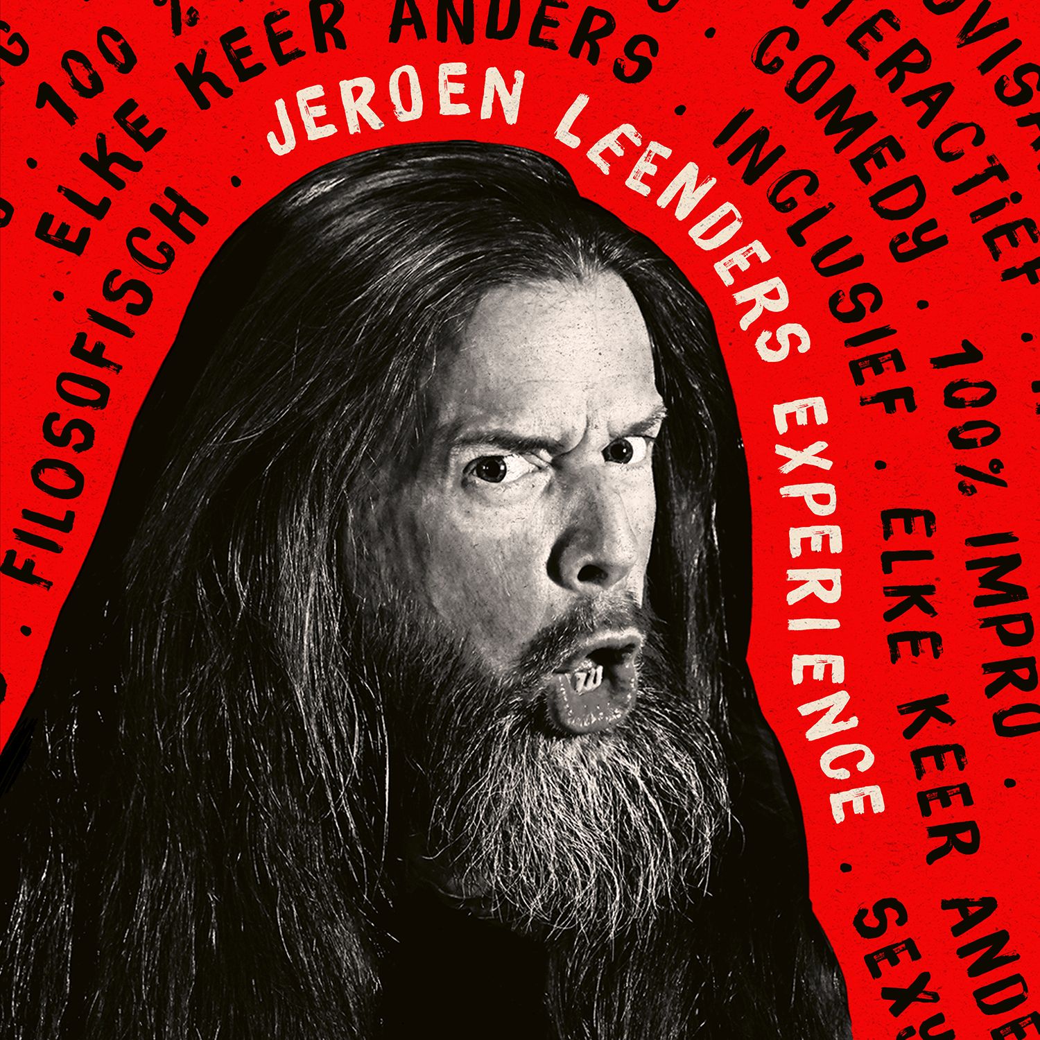 Jeroen Leenders Experience