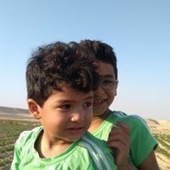 علاء ابراهيم