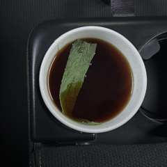 رهف