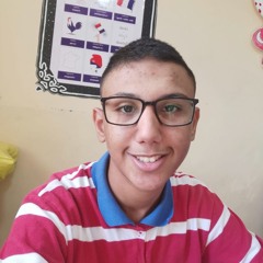 Zeyad Osama Nabil