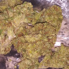 D Buddah