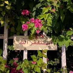 مَيس