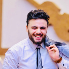 Ahmed El WarDany