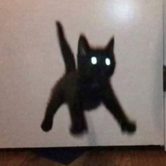 Imagine Not Stealing Kitties