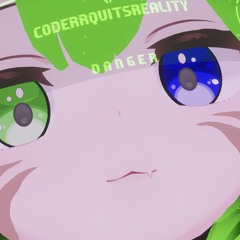 coderrquitsreality