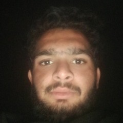 sher ali