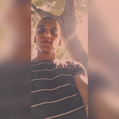Mahmoud M.Amr