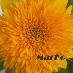 MarKo